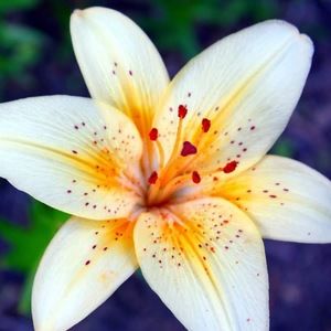 Meet your Posher, Kennedy